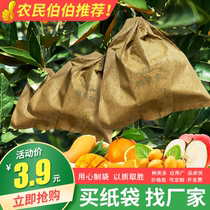 桃子套袋专用袋枇杷袋苹果梨袋子柠檬芒果袋散花柚子防虫防水保护