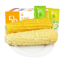 玉米糯玉米新鲜2023天勤粒粒净官方旗舰店甜粘真空包装有机黏玉米