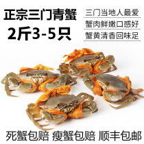 三门青蟹鲜活螃蟹 大青蟹鲜活特大超大公蟹肉蟹母螃蟹海鲜水产2斤