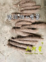 山河星淮山芋清流 新鲜雪薯深山食品野蔬菜薯芋闽三明永安明溪4斤