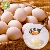 初生蛋 小 土鸡蛋30枚包邮  农家散养柴鸡蛋 新鲜草鸡蛋笨鸡蛋