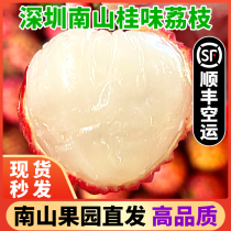 深圳南山桂味荔枝5斤礼盒顺丰空运当季新鲜水果农家水果包