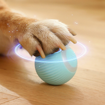 自动遛狗球电动小型犬互动自嗨解闷神器狗狗玩具啃咬幼犬用品大全