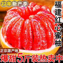 福建平和红心柚子新鲜红肉蜜柚5斤红心蜜柚应季新鲜水果批发包邮