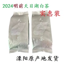 溧阳明前天目湖白茶 2024年原产地口粮新绿茶礼 250g袋罐装新茶
