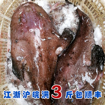 石浦海鲜  东海新鲜海捕安康鱼魔鬼鱼蛤蟆鱼丑鱼  3-10斤/条