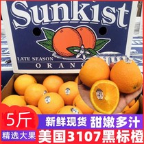 美国进口新奇士3107黑标橙新鲜脐橙甜嫩多汁皮薄肉厚大果现货