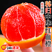 秭归血橙中华红橙新鲜橙子水果当季整箱红心肉甜橙手剥果冻橙10斤