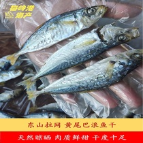 东山本港特产天然高级晾晒黄尾巴巴浪鱼干即食淡干小鱼干海鲜干货
