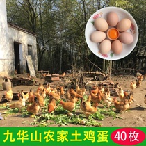 九华山土鸡蛋正宗农家散养农村笨柴草鸡蛋新鲜五谷蛋40枚当天现捡