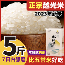 越光米太极米寿司米专用日本新米5斤东北珍珠米粳米 丹东东港大米