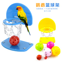 鹦鹉鸟玩具用品益智技能训练用具道具迷你篮球筐投篮站架智力开发