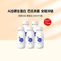 【预售10天发货】三元极致A2β-酪蛋白巴氏杀菌低温牛奶240ml*5瓶
