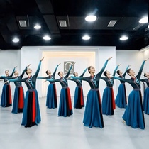 蒙古舞蹈服女民族演出服装古典现代表演服饰鸿雁蒙古族艺考大摆裙