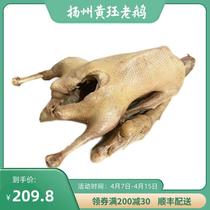 【4斤整只】扬州老鹅盐水鹅咸水鹅特产黄珏老鹅熟食鹅肉