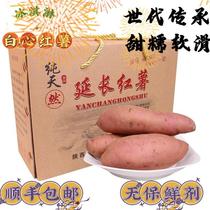 陕北延安延长县罗子山红薯老品种黄河畔白心火焰山红薯带箱约10斤