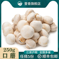 新鲜口蘑菇250g 现摘白蘑菇食用菌菇双孢菇煲汤火锅炒菜时令蔬菜