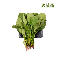 勤励园新鲜大菠菜500g无污染蔬菜健康食品零食青菜蔬菜