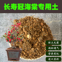 长寿冠海棠专用土日本海棠花卉盆栽营养土通用酸性沙质土壤花卉肥