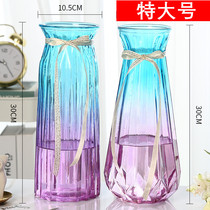 【特大号】欧式玻璃花瓶水培富贵竹百合透明玻璃花瓶客厅装饰摆件