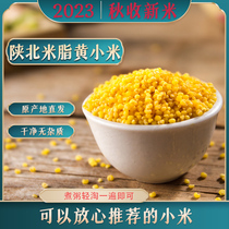 陕西陕北榆林米脂黄吃的油香谷小米特产米月子米熬粥新米