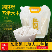 东北五常大米农家自产稻花香2号长粒大米香甜软糯香米2023新米5斤
