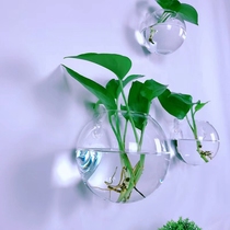 壁挂水培器皿创意透明花瓶养绿萝挂墙壁圆形装饰吊挂插植物小花瓶