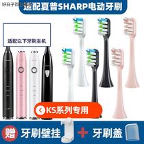 替换日本夏普电动牙刷头SHARP DO-KS50C/KS10C/KS40C通用软毛刷头
