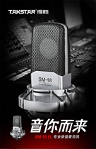 Takstar/得胜SM-18EL PRO电容麦克风K歌直播电脑手机话筒家用唱歌