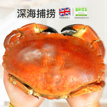 【199减50】clearwater英国进口<em>面包蟹</em>800-600g 熟冻即食特大螃蟹