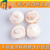 新鲜口蘑白蘑菇菌菇 牛排酱料 快炒西餐蘑菇汤常用食用菌上海发货