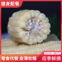 白玉米甜糯玉米棒粘黏玉米粒真空装非转基因忻州农家10根包邮