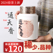 【春茶通天香】凤凰单枞特级通天香经典香型炭焙乌龙茶500g桶装