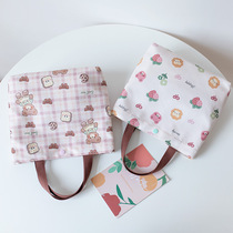 2024新款手提包女小众时尚潮流韩国可爱学生饭盒手拎袋子小布包