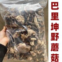新疆特产正宗巴里坤野蘑菇汤饭大盘鸡炖汤蘑菇干货味鲜有礼盒500g
