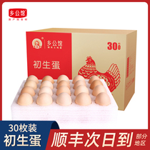乡公馆鸡蛋新鲜土鸡蛋农家散养初生蛋鲜鸡蛋草鸡蛋初产蛋30枚整箱