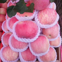 山西吉县壶口红富士苹果水果新鲜应当季整箱脆甜冰糖10斤产地顺丰