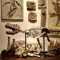 霸王恐龙仿真骨骼骨架化石大型家居动物摆件橱窗装饰树脂工艺品