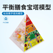 新版膳食宝塔中国居民膳食平衡宝塔食物膳食金字塔营养食物模型