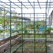 阳台种菜架子园艺花架爬藤支架豆角黄瓜葡萄庭院户外蔬菜架种植