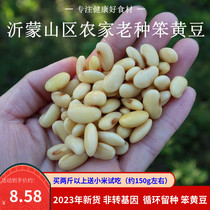 黄豆新货农家自种老品种非转基因笨黄豆打豆浆非发芽土黄豆500g