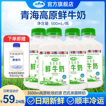青海湖青海高原鲜牛奶500ml*4瓶巴氏杀菌鲜奶儿童营养低温早餐奶