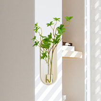 创意壁挂花瓶客厅居家挂墙花盆马醉木插花水培花器简约悬挂装饰品