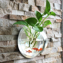 创意水养器皿透明壁挂水培花盆悬挂挂墙挂壁绿萝圆形花瓶植物居家