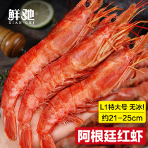 阿根廷红虾l1鲜活超大海虾特大红虾冷冻大虾速冻海鲜水产船冻4斤
