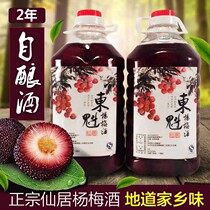【2年陈】正宗仙居杨梅酒梅子酒桶装5斤浙江特产水果酒包邮自酿