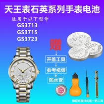 适用于TIANWANG天王表电池男款手表GS3713 GS3715 GS3723纽扣电子