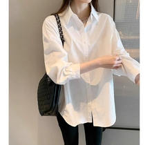 白衬衫女内搭2024年春季新款韩版设计感小众洋气上衣长袖衬衣春天