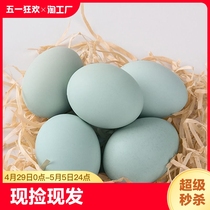 晨诚绿壳土鸡蛋新鲜农家放养散养谷物蛋40枚乌鸡蛋青壳土鸡蛋