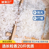 长粒香20斤当季新米优质现磨香米软糯香甜煲仔饭大米猫牙农家一级